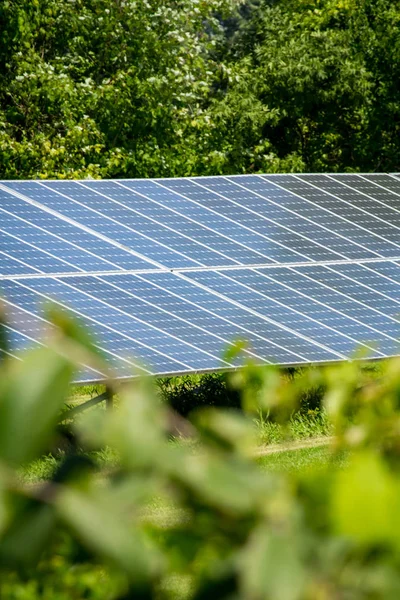 Paneles Solares Absorbiendo Energía Los Soles Caluroso Día Verano —  Fotos de Stock