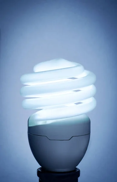 Compact fluorescent lightbulb with neon back lighting