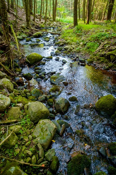 Agua Del Arroyo Forestal Congelada Tiempo Salpicando Contra Rocas Musgosas — Foto de Stock