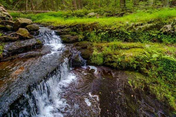 Cascada Profunda Bosque Cascada Por Las Rocas Musgosas — Foto de Stock