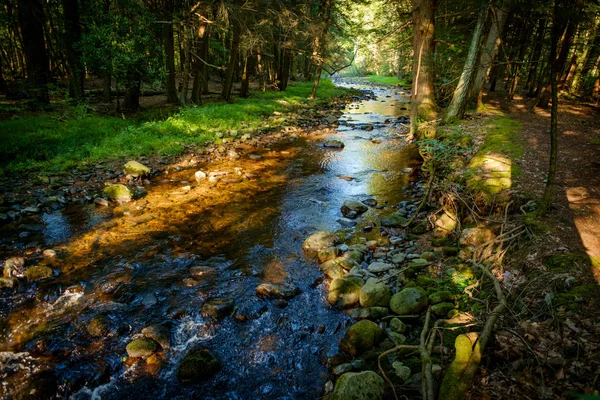 Forest stream water frozen in time splashing against mossy rocks