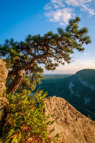 Vista Del Monte Minsi Desde Cima Del Monte Tammany Cerca —  Fotos de Stock