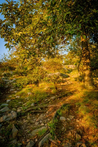 Stoupání Horské Stezce Světlé Letní Večer — Stock fotografie