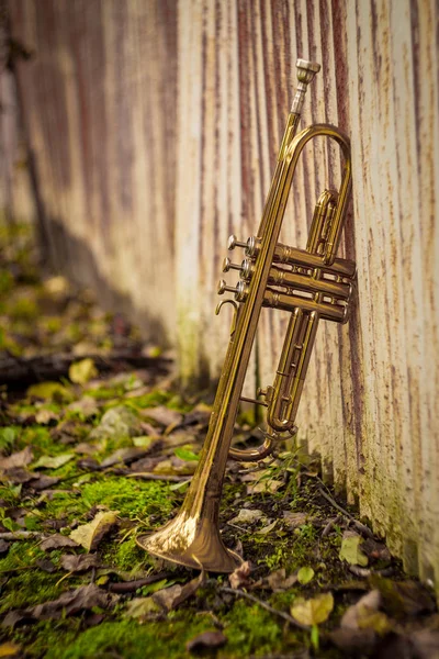 Autumn Jazz Instrument Trumpet Standing Alone Nature — Stock Photo, Image