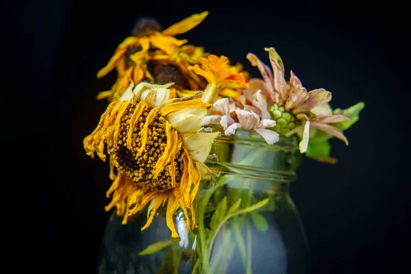 古いしおれた暗いムーディな照明とガラスの石工の瓶で夏の花 — ストック写真