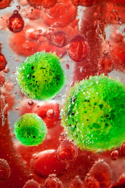Zblízka Meningitidy Bakterií Také Známý Jako Meningokokům Koncepční Obrázek — Stock fotografie