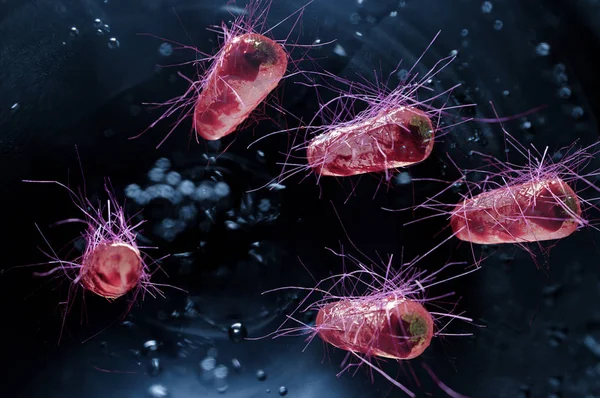 Escherichia Coli Also Known Ecoli Bacteria Health Science Concept — Stock Photo, Image