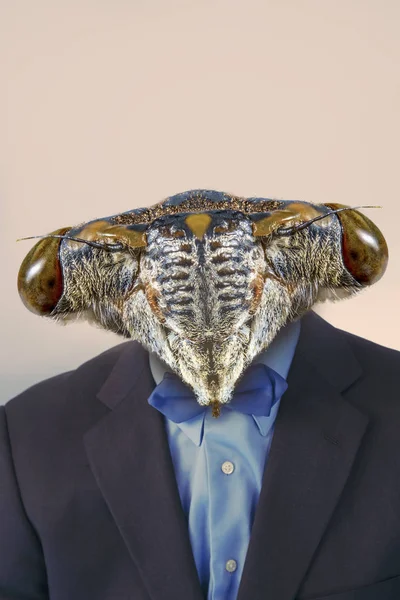 Scary monster businessman has a giant insect locust head