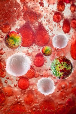 Beyaz kan hücreleri kavramsal görüntü ile menenjit bakterilerin yakın çekim