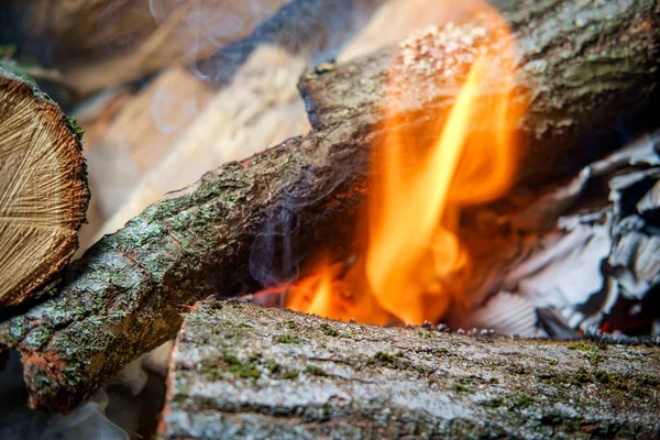 Campo de verano hoyo de fuego — Foto de Stock