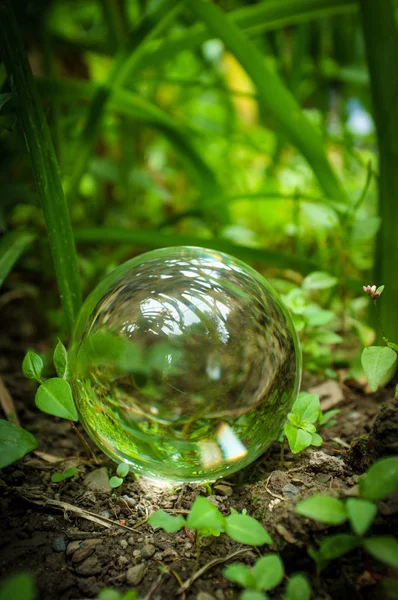 Bola de cristal Naturaleza —  Fotos de Stock