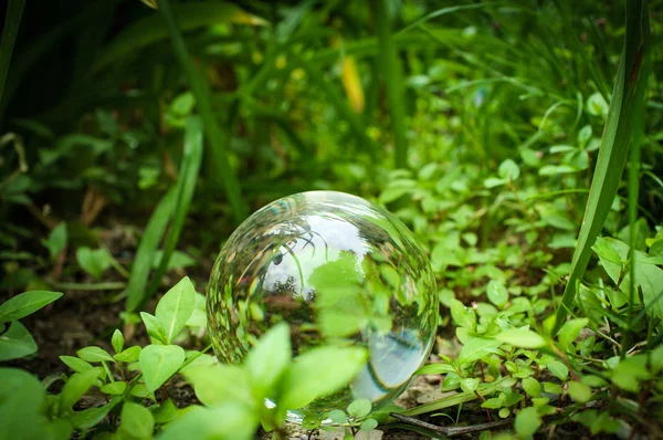 Bola de cristal Naturaleza —  Fotos de Stock