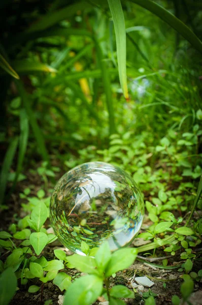 Bola de cristal Naturaleza —  Fotos de Stock