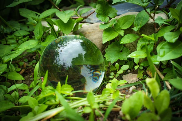 Bola de cristal Naturaleza —  Fotos de Stock