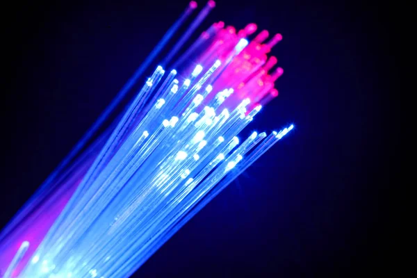 Macro Fiber Optic Cable — Stock Photo, Image