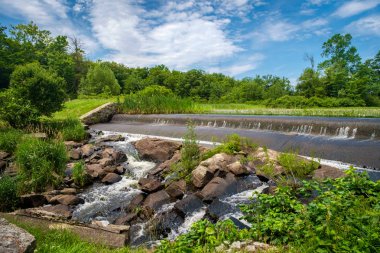 Güneşli Yaz Şelale Parkı