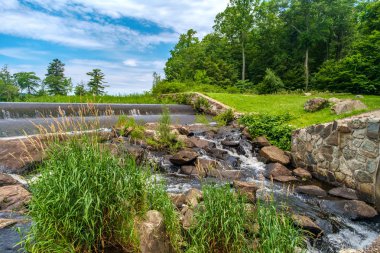 Güneşli Yaz Şelale Parkı