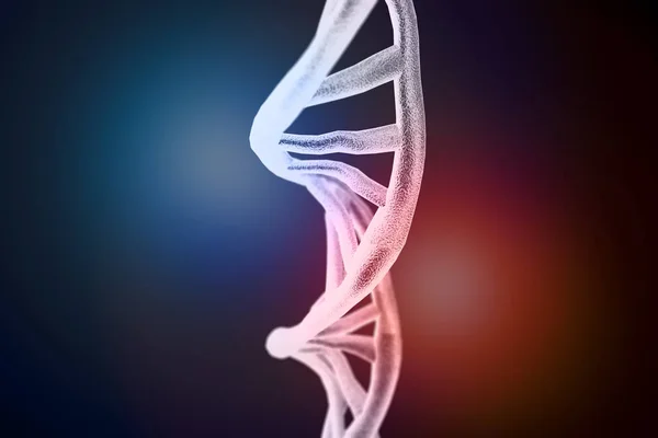 Illustrazione 3D dei filamenti del DNA — Foto Stock