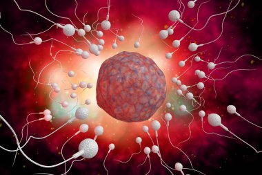 Sperm and Egg 3D Illustration clipart
