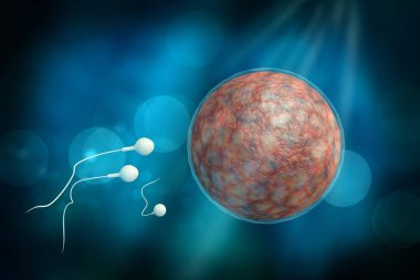 Sperm ve Yumurta 3d İllüstrasyon