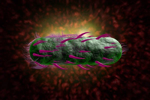 E. coli bacteriën cellen 3D illustratie — Stockfoto