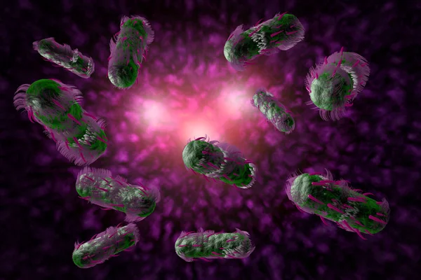 E. coli bacteriën cellen 3D illustratie — Stockfoto