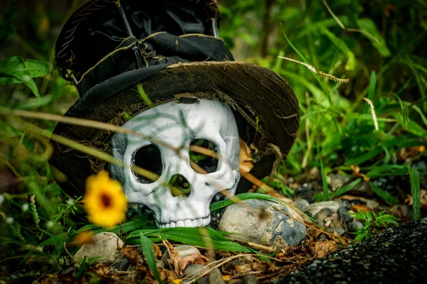Nejlepší Halloween lebka horní klobouk — Stock fotografie