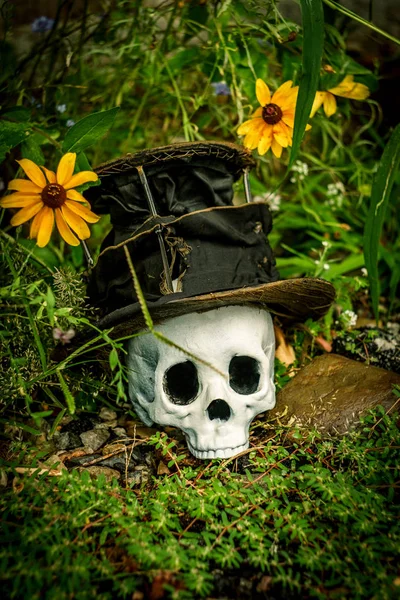 Halloween assustador crânio chapéu superior — Fotografia de Stock
