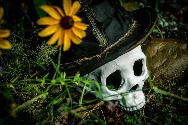 Nejlepší Halloween lebka horní klobouk — Stock fotografie