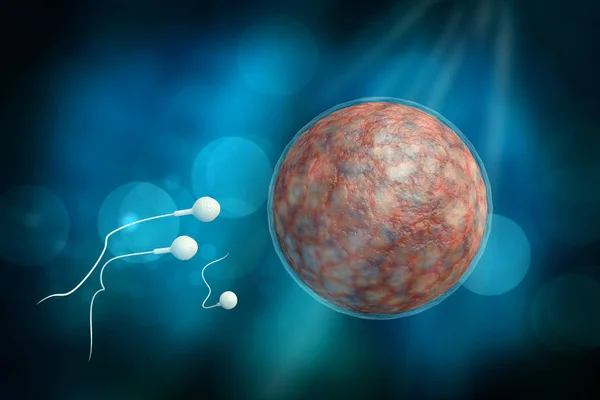 Spermatozoizi și ouă ilustrație 3D — Fotografie, imagine de stoc