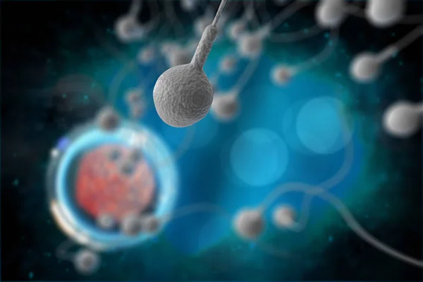 精子と卵3Dイラスト — ストック写真