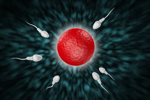 Spermier och ägg 3D illustration — Stockfoto