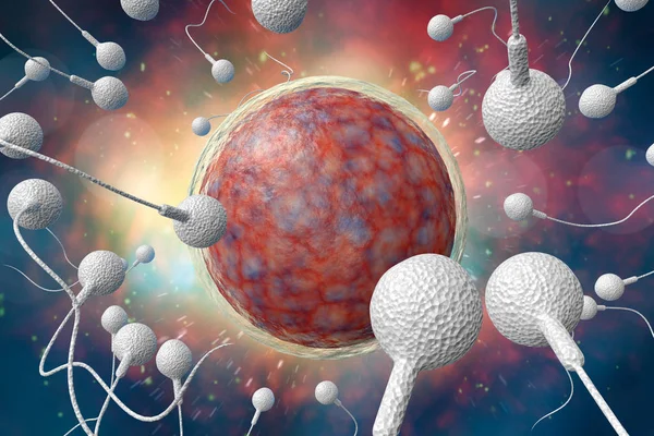 Σπέρμα και αυγό 3D εικονογράφηση — Φωτογραφία Αρχείου
