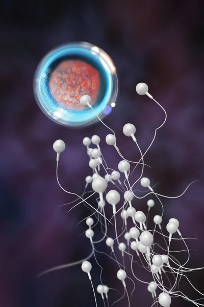 精子と卵3Dイラスト — ストック写真