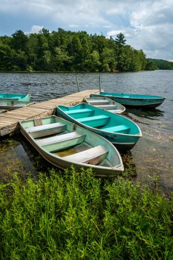 Tekneler Wawayanda Eyalet Parkı 'ndaki göldeki rıhtıma bağlı. 