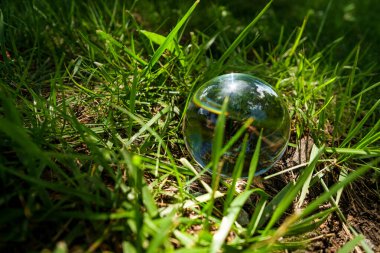 Falcılar doğada sihirli cam kristal küre