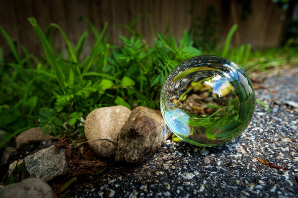 Fortune tellers magic glass crystal ball in nature