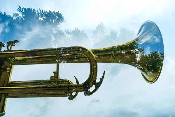 Abstrato Dupla Exposição Natureza Velho Rusty Instrumento Musical Trompete — Fotografia de Stock