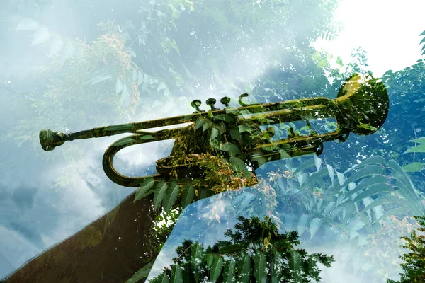 Exposición Doble Abstracta Naturaleza Vieja Trompeta Instrumento Musical Oxidado —  Fotos de Stock