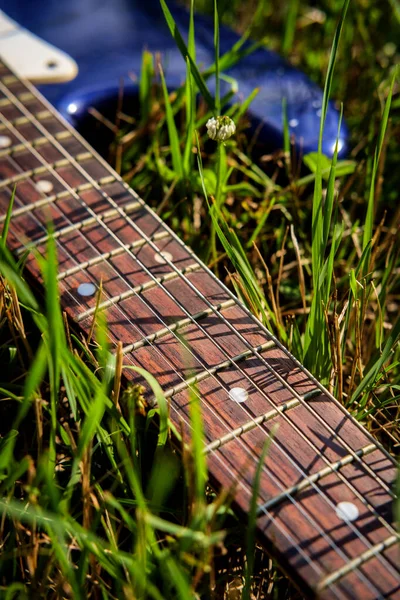 Guitarra Eléctrica Azul Colocada Hierba Día Soleado Verano —  Fotos de Stock