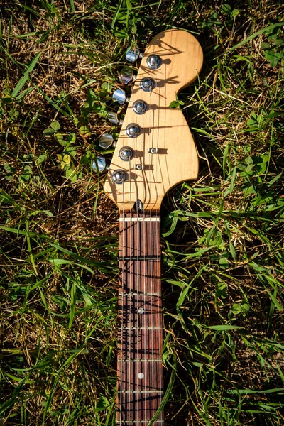 Blue Electric Guitar Laying Grass Sunny Summer Day — Stock Photo, Image