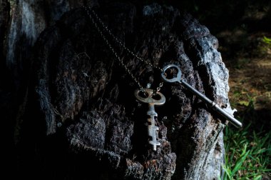 Eski antik iskelet anahtarlar eski ağaç kütüğüne bağlı metal bir zincirden sarkıyor.