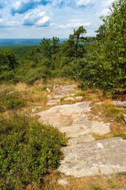 Yeşil çamlı, yaz akçaağacı ve meşe ağacıyla Appalachian Dağları 'nın tepesinden manzara