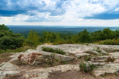 Yeşil çamlı, yaz akçaağacı ve meşe ağacıyla Appalachian Dağları 'nın tepesinden manzara
