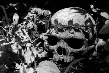 Kraliyet altın yaprağı tacını takan Kral ve Kraliçenin iskelet iskeleti.