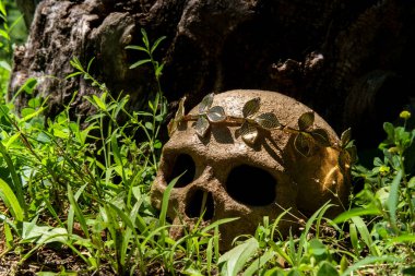 Kraliyet altın yaprağı tacını takan Kral ve Kraliçenin iskelet iskeleti.