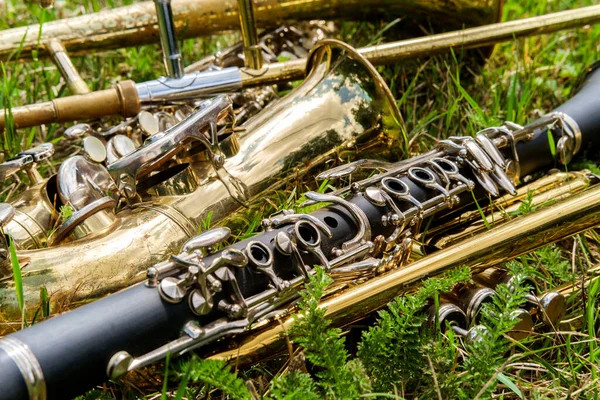 Musical instruments including trombone trumpet clarinet and saxophone lay in grassy field at music festival