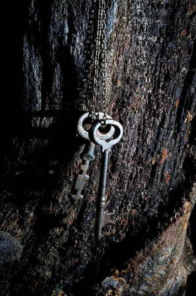 Eski antik iskelet anahtarlar eski ağaç kütüğüne bağlı metal bir zincirden sarkıyor.