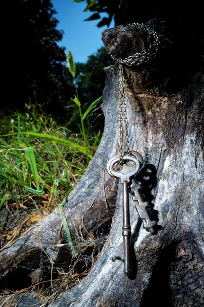 Старинные Ключи Скелета Висящие Металлической Цепи Прикрепленной Старому Пню Дерева — стоковое фото