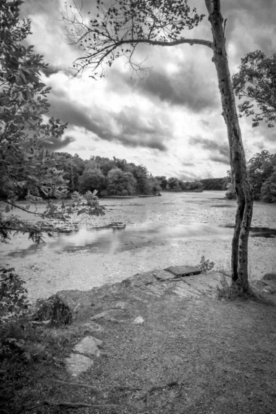Wawayanda Eyalet Parkı 'ndaki göl manzarası çok güzel.